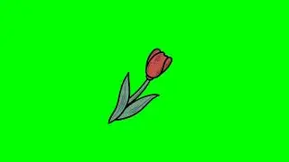 red rose green screen effect