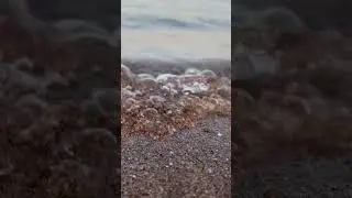 🇹🇷 Средиземное море🌊