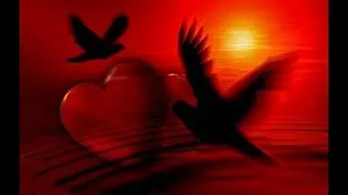 Le Coeur est un Oiseau