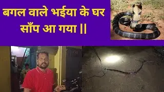 बगल वाले भईया के घर साँप आ गया || देखिये कैसे उसे रेस्क्यू किया गया | @SSVLOGS202