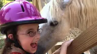 Sasha's photo album
