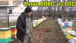 Матководство в мини+. Зимовка пчел в нуклеусах. Мини нуклеус из ППС.
