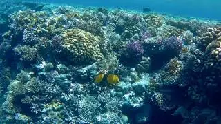 Шарм эль шейх пляж El Fanar