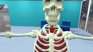 Unreal Engine Simulation | Modeled and Simulated Spaces for Anatomy Education