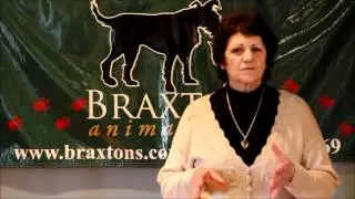 Main Line Philadelphia Holistic Pet Wellness Expert Norma Caesar
