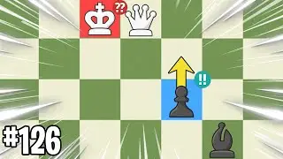 Chess Memes 