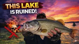 One of The Best Lakes is RUINED Thanks Georgia...