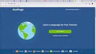 Logging into Duolingo