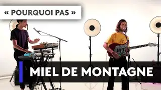 MIEL DE MONTAGNE - 
