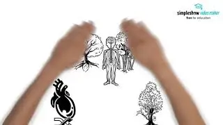 Azubitutorials zur Medizinlehre - Herz-Kreislauf-System