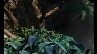 Kairi's Song