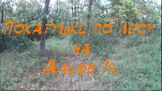 Покатушки по лесу на мопеде Альфа 1ч.