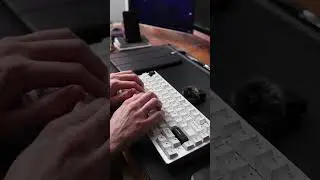This budget keyboard sounds incredible??! - Rainy75 Sound Test