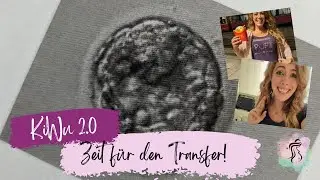KiWu 2.0. - es ist Transferwoche im Kryozyklus! | Embryotransfer | ICSI Blog 2023