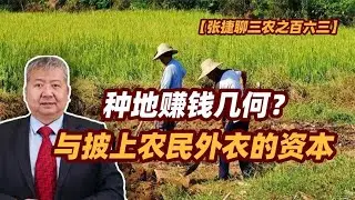 【张捷聊三农之百六三】种地赚钱几何？与披上农民外衣的资本