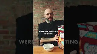 Apparently it's #NationalCerealDay
