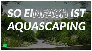 AQUARIUM EINRICHTEN STEP BY STEP | So machst Du ein perfektes Aquascaping Aquarium | GarnelenTv