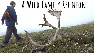 Backpacking in Our Largest National Park