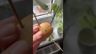 Наконец то есть прогресс 🌿🥑 