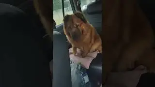 Нашёл заначку красотки хитропопой