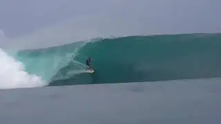 Green Bush, Mentawai