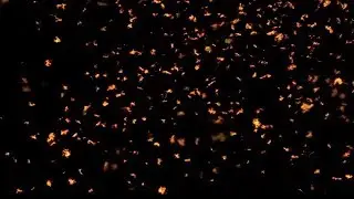 Fire Particles Fire Background Animation Video Effect