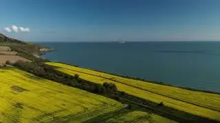 Yellow - The Rapeseed Fields in Greystones