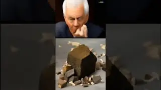 Цапля канарейка канарейка птица соловей соловей удод