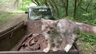 В Гостях У компота!!!