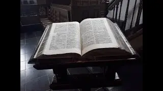 De Syro-Fenicische vrouw (Markus 7:24-30)