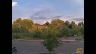 One Year Timelapse