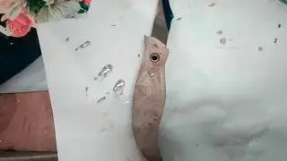 Нож "косяк"
