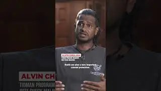 "People don't realise the benefits coral reefs provide" | R.AGE Shorts