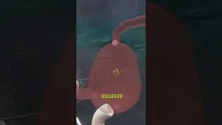 😲What if Whale Swallowed You (ALIVE)?