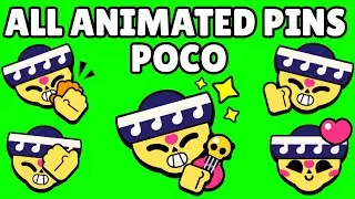 Poco Pins (Animated) | Brawl Stars | Green Screen
