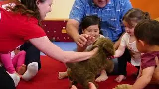 Gymboree Play & Music Explorers