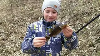 Ротобас.