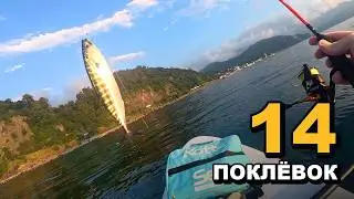 Ultralight Fishing for Atlantic Bonito from a SUP in the Black Sea! 30+ Fish!