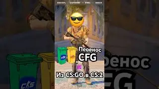А ты знаешь как перенести конфиг из CSGO в CS2? 