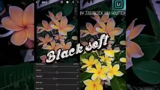 Tutorial edit foto black soft di aplikasi lightroom