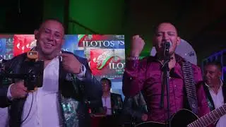 Traición De Amor - Pilotos Del Terre ft Banda La Espectacular Sesión En Vivo 2023