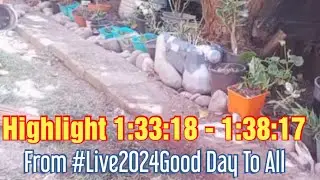 Highlight 1:33:18 - 1:38:17 from #live2024GOOD DAY TO ALL /TARA  CLEARING TAYO!#erlinda60mixvlog