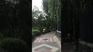 Kebun Raya Bogor