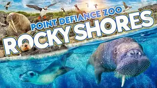 Zoo Tours: Rocky Shores | Point Defiance Zoo