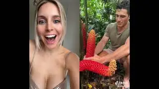 تیک تاک tiktok