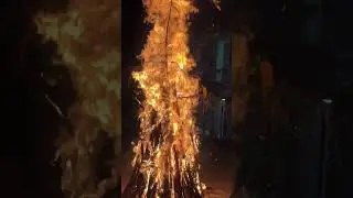 #holi