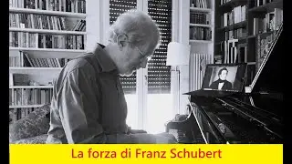 La forza di Franz Schubert - COSE BELLE COSE DELLA VITA