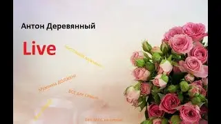 Антон Деревянный Live.Что бывает когда недостаточно оказываешь любимой внимания!