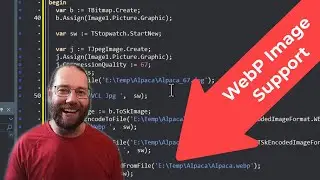 WebP Support in Skia - New in Delphi 12 - 227