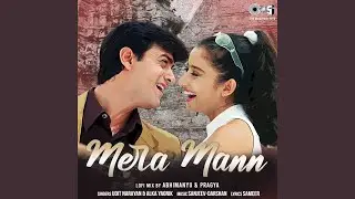 Mera Mann (Lofi Mix)